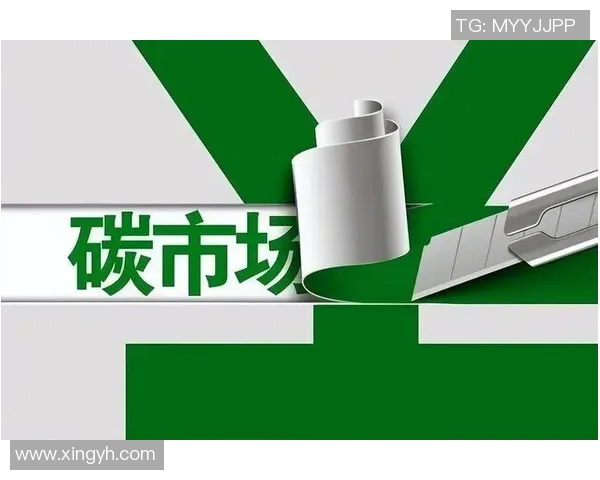 重磅专题：探索BLG在行业转型中的创新与发展路径